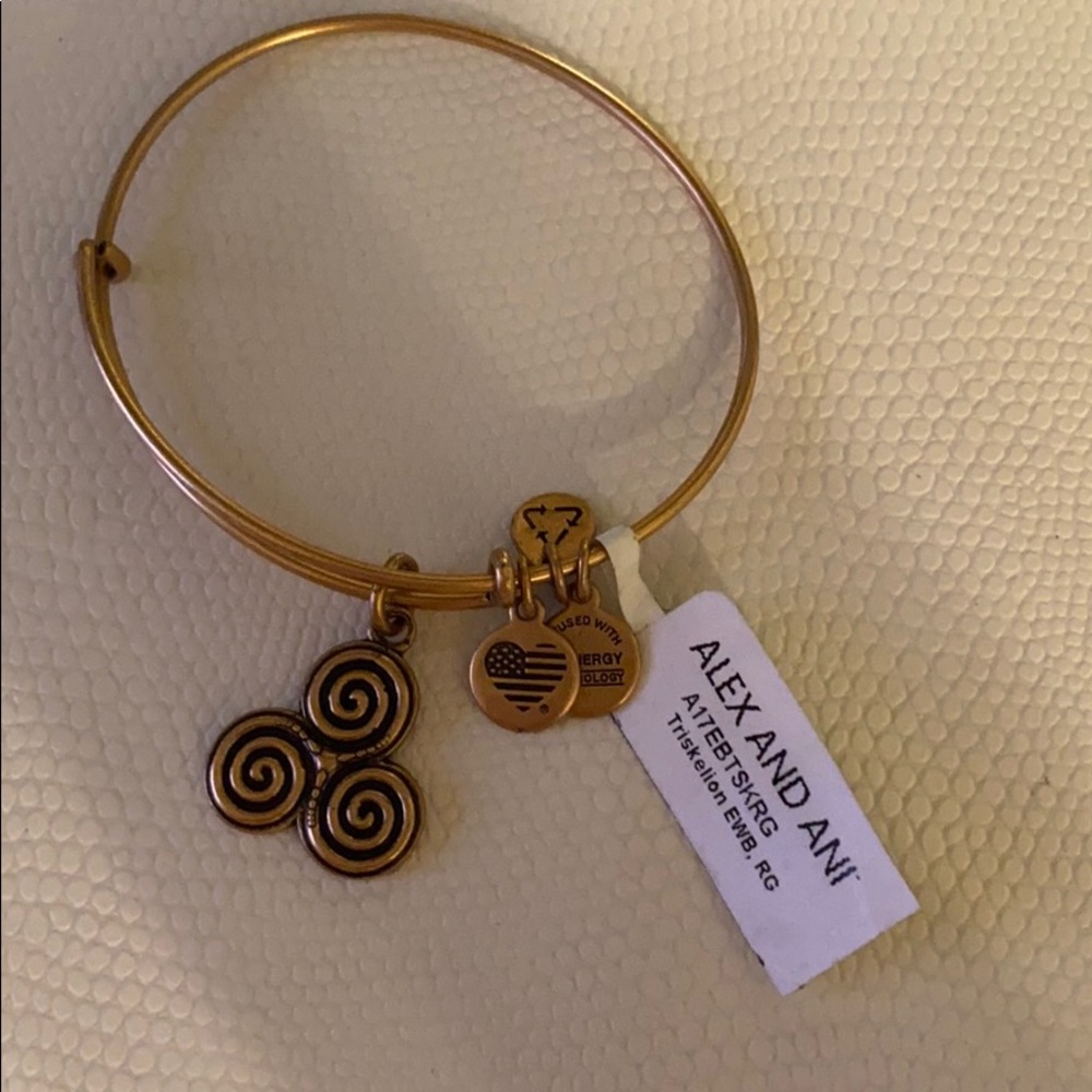 Alex and Ani bangle